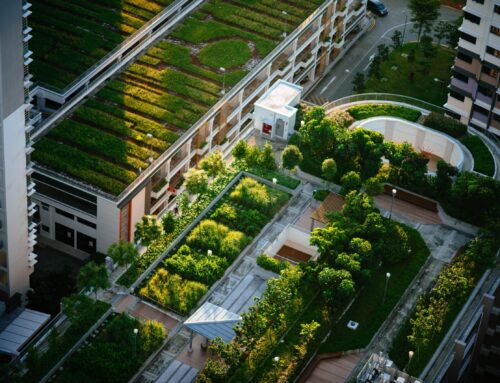 Building Decarbonization Revolving Loan Fund Guidebook